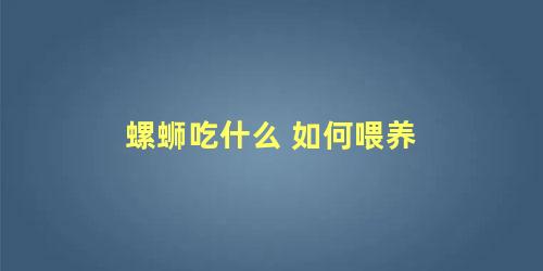 螺蛳吃什么 如何喂养